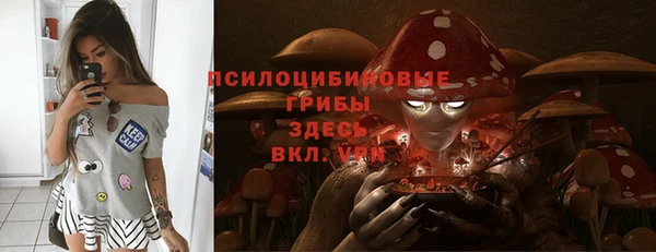стаф Михайлов