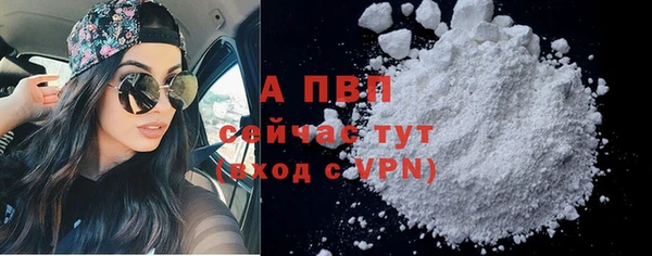 мяу мяу мука Михайловск