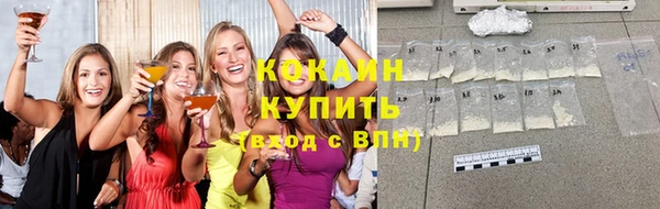 мяу мяу мука Михайловск